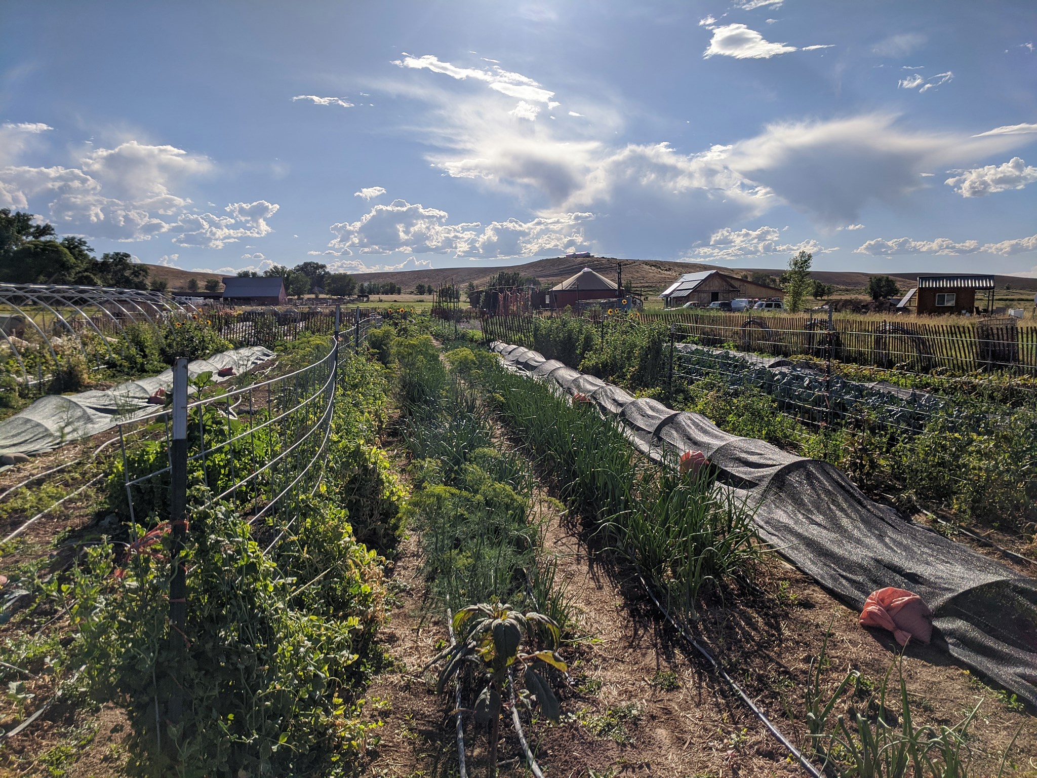 Picture of Yurtstead Farm in July 2020